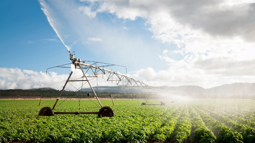 Feiras agropecuárias conectam tecnologia, produtores e desenvolvimento — como destaca Aldo Vendramin.

